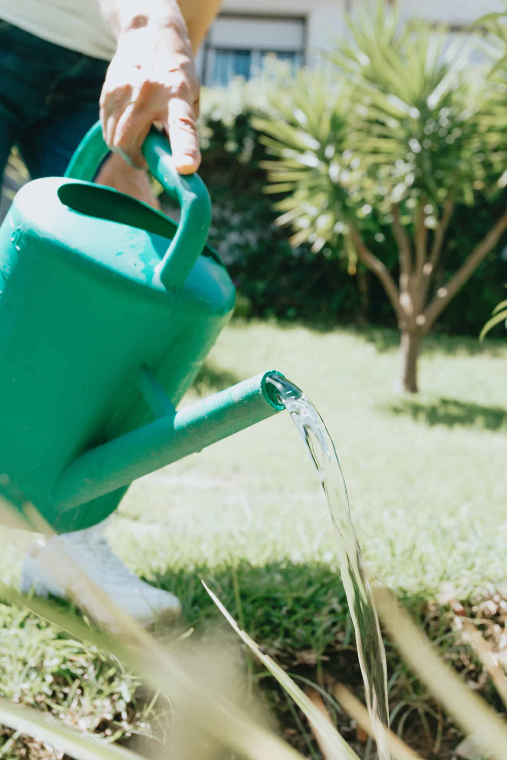 Watering can on the garden,Watering the garden at sunset